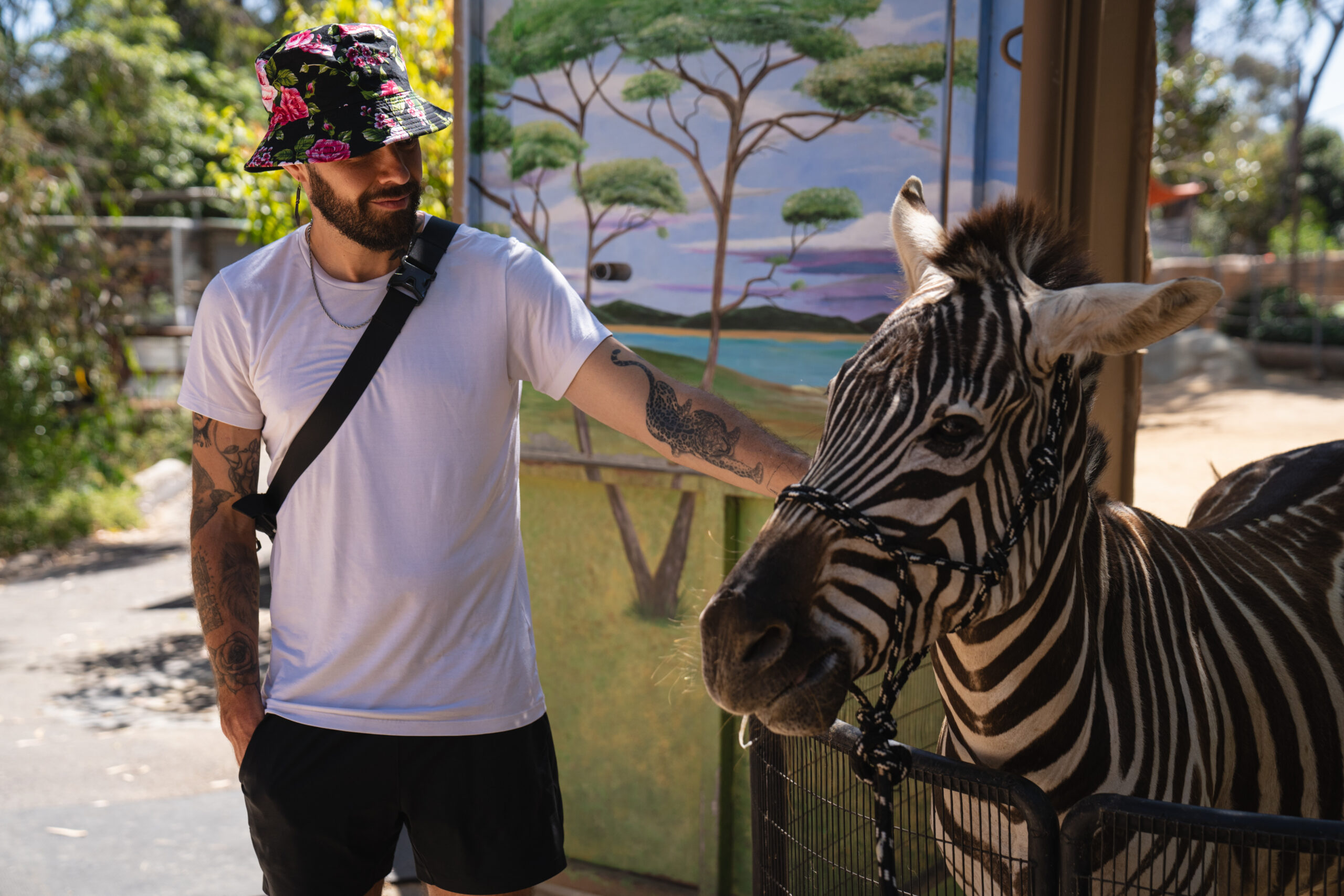 Jesse y Joy Visit the San Diego Zoo Entertainment Rocks