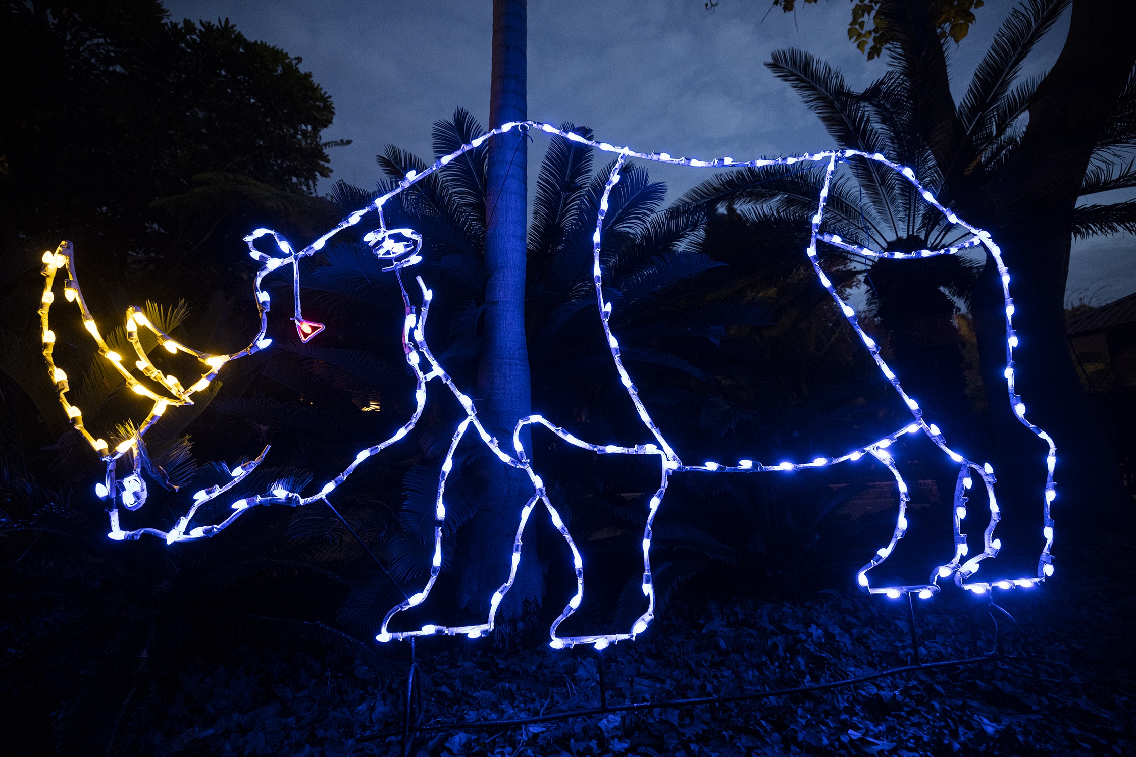 Celebrate the Holidays at the San Diego Zoo’s “Jungle Bells